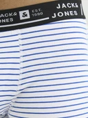 Jack Jones Hawaıı Style 12 Li Paket Erkek Boxer 12277826 thumbnail 3