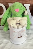 Özel Kutuda, Yeşil Jellycat Tavşan, 5 Beyaz Ayıcık – Pamuk Çiçeği Dokunuşlu, Özel Ayıcık Buketi - 1