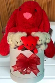 Özel Kutuda, Aşk Temalı Peluş Hediye Kutusu – Kırmızı Jellycat Tavşan & 5 Mini Ayıcık (Özel Tasarım) thumbnail 2