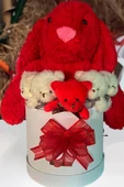 Özel Kutuda, Aşk Temalı Peluş Hediye Kutusu – Kırmızı Jellycat Tavşan & 5 Mini Ayıcık (Özel Tasarım) thumbnail 5
