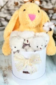 Özel Kutuda, Sarı Jellycat Tavşan, 5 Beyaz Ayıcık – Pamuk Çiçeği Dokunuşlu, Özel Ayıcık Buketi - 1