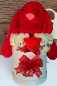 Özel Kutuda, Aşk Temalı Peluş Hediye Kutusu – Kırmızı Jellycat Tavşan & 5 Mini Ayıcık (Özel Tasarım) thumbnail 1