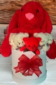 Özel Kutuda, Aşk Temalı Peluş Hediye Kutusu – Kırmızı Jellycat Tavşan & 5 Mini Ayıcık (Özel Tasarım) thumbnail 7