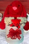 Özel Kutuda, Aşk Temalı Peluş Hediye Kutusu – Kırmızı Jellycat Tavşan & 5 Mini Ayıcık (Özel Tasarım) thumbnail 4