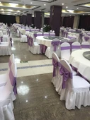 Otel Sandalye Örtüsü Fiyonk - Göl Mavisi - 2