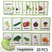 Çocuklar için İngilizce Kelime Kartları - 21 Sebze - 1
