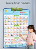 Şarjlı Sesli Pinyin Alfabe Tablosu - Heceli - 2
