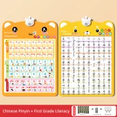 Eğitici Duvar Tablosu - Pinyin + Okuma Yazma - 2'li Set - 1