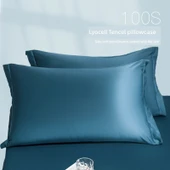 Tencel İpek Yastık Kılıfı 48x74 cm - Ay Işığı Mavi (Tekli) - 1