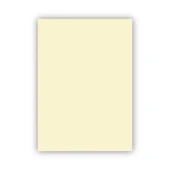 Bigpoint Fon Kartonu 50x70cm 160 Gram Fildişi - 1