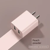 66W GaN Hızlı Şarj Aleti - Pembe USB 2.1A Şarj Aleti - 1