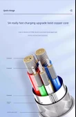 Type-C Data Kablosu - 2.0 Metre - PD100W Hızlı Şarj - İki Adet - 8