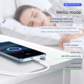 Vivo X200 Pro 90W Hızlı Şarj Aleti - 2 Metre Kablolu - 3
