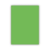 Bigpoint Fon Kartonu 50x70cm 120 Gram Açık Yeşil - 1