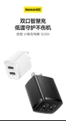 Çift USB Portlu Şarj Aleti - 10W - 1m Type-C Kablolu - 7