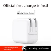 iPadPro PD30W Hızlı Şarj Aleti - Tek Başlıklı - 4
