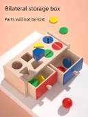 Montessori Oyuncak - Para Atma Kutusu ve Besleme Oyunu - 6