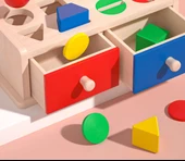 Montessori Oyuncak - Para Atma Kutusu ve Besleme Oyunu - 9