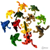 Simülasyon Kurbağa Model Oyuncak - Kurbağa Yavrusu Aşaması 2 [5] thumbnail 6