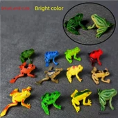 Simülasyon Kurbağa Model Oyuncak - Kurbağa Yavrusu Aşaması 2 [5] thumbnail 3