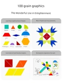 Manyetik Tangram Puzzle Seti - Çeşitli Tangram + 100 Sayma Çubuğu (Demir Kutulu) - 3