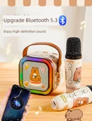Çift Mikrofonlu Karaoke Seti - Kabipbala Desenli - Bluetooth, Gradient Lamba, Miks Ses - 7