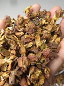 K Lateral Selvi Kabuğu Tohumu Yetişkin Yastığı - 2.50kg Eski Kaba Kumaş Çiçek 35*55, 8-9cm Yükseklik - 5