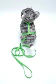 Kedi Düz Göğüs Tasması Ve Gezdirme Seti Ps9643 - 1