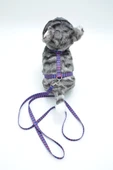 Kedi Çizgili Göğüs Tasması Ve Gezdirme Seti Ps9638 - 1