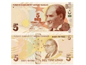 Düğün Parası - 100 Adet 5 TL - 2