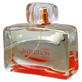 Estee Lauder Intuition  Edt 100 Ml erkek parfüm - 2