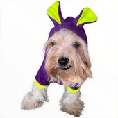 Bunny Pom Kulaklı Köpek Tulumu Kıyafeti - 1