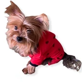 Darky Hearts Kırmızı Kapşonlu Penye Köpek Tulumu thumbnail 3