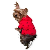 Darky Hearts Kırmızı Kapşonlu Penye Köpek Tulumu thumbnail 1