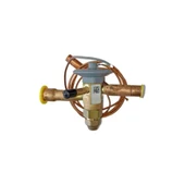 Sporlan ERVE-6-CP100 Expansion Valf R-407C ( BBIVE-6-CP100 ) - 1