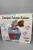 Cinsiyet Belirleme & İsim Tahmin Kutusu - 3