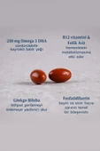 Efamol Active Memory 30 Bitkisel Kapsül - 2