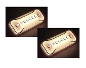 2 Adet Neon Ledli Mercekli Yan Dorse Kasa Lambası 12-24 Volt Turuncu thumbnail 1