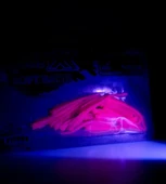 Spıınx Sandworm Lrf Silikon 6Cm 18P Glow Renk: UV PINKY thumbnail 3