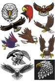 Kartal Sticker Set-1 11 Parça Telefon, Tablet, Defter, Laptop Sticker thumbnail 1