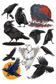 Karga Sticker Set-1 11 Parça Telefon, Tablet, Defter, Laptop Sticker - 1