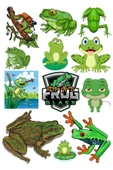 Kurbağa Sticker Set-1 12 Parça Telefon, Tablet, Defter, Laptop Sticker - 1