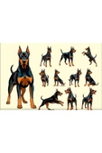 Doberman Sticker Set - 1