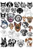 Köpek Türleri Sticker Set 1 - 1