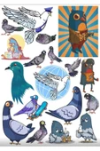Güvercin Sticker Set 1 - 1