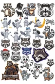 Rakun Sticker Set 1 - 1