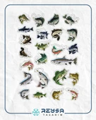 Balık ve Balıkçılık Sticker Set 3 - 1