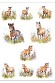 Atlar Sticker Set - 1