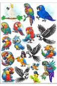 Papağan Sticker Set - 1
