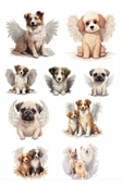 Kanatlı Köpekler Sticker Set - 1